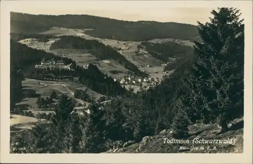 Ansichtskarte Todtmoos Panorama-Ansicht, Schwarzwald, Black Forest 1935