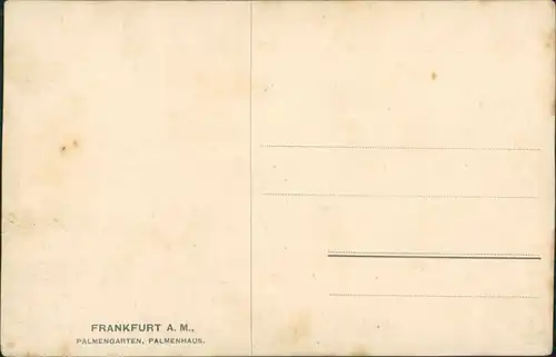 Frankfurt am Main Palmengarten, Palmenhaus, Palmen Palms Pflanzen Botanik 1910