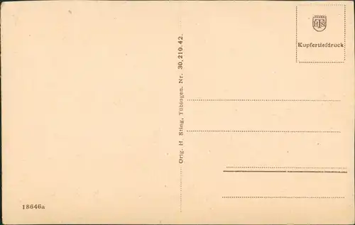 Feldberg (Schwarzwald) Feldsee aus der Vogelschau, Black-Forest-view 1920