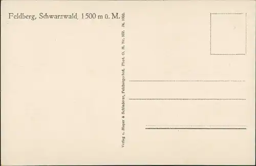 Ansichtskarte .Baden-Württemberg Partie am Feldsee, Echtfoto-Postkarte 1930