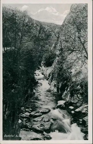 Ansichtskarte Thale (Harz) Bodekessel (Bodetal), Bachlauf Harz 1930