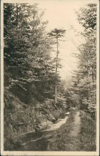 Ansichtskarte .Sachsen Am Grünen Graben im Tal der schwarzen Pockau 1930