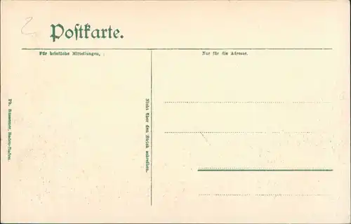 Ansichtskarte St. Blasien Panorama Vogelschau-Perspektive auf Kirche 1905