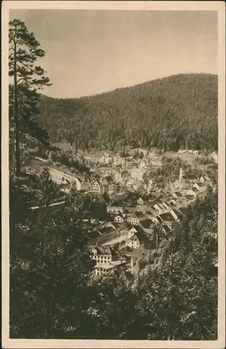 Triberg im Schwarzwald Panorama-Ansicht, Totalansicht, Blick Schwarzwald 1925
