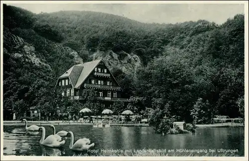 Uftrungen-Südharz Hotel Heimkehle am Schwanenteich, Schwäne, Teichanlage 1930