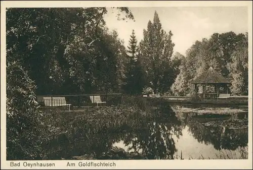 Ansichtskarte Bad Oeynhausen Goldfischteich - Pavillon 1926