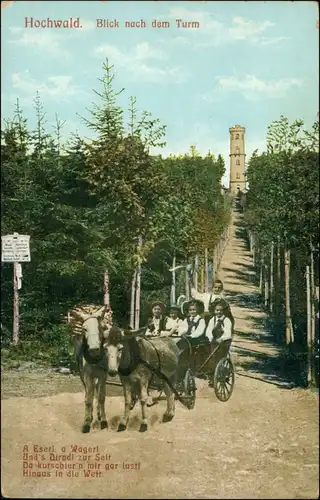 Ansichtskarte Oybin Hochwaldturm - Kutsche mit Kindern 1913