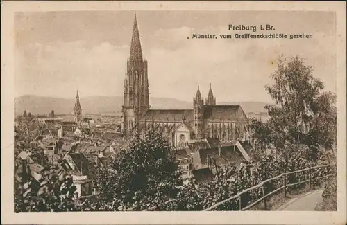 Freiburg im Breisgau Münster vom Greiffeneckschlößle gesehen 1920