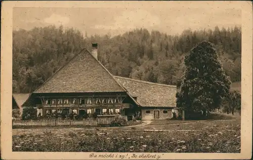 Ansichtskarte .Schweiz Da möcht i Sy! Bund Junger Stauffacherinnen Bern 1928