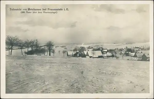 Hartmannsdorf-Reichenau Hartmannsdorf-Reichenau bei Frauenstein Erzgebirge, Teilansicht 1931