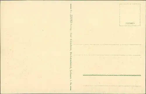 Ansichtskarte Lohmen (Sachsen) Panorama Blick auf Niederlohmen 1910