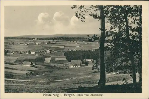 Heidelberg (Erzgebirge)-Seiffen  Panorama-Ansicht, vereinzelt Wohnhäuser 1910