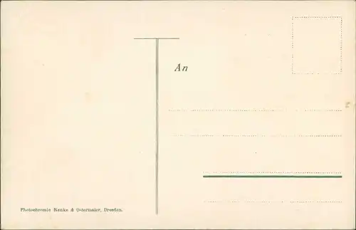 Ansichtskarte Dresden Gartenbau-Ausstellung Brasilianischer Urwald 1907