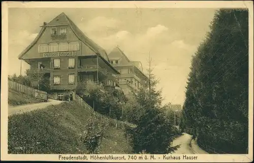 Ansichtskarte Freudenstadt Partie am Kurhaus Hauser 1918