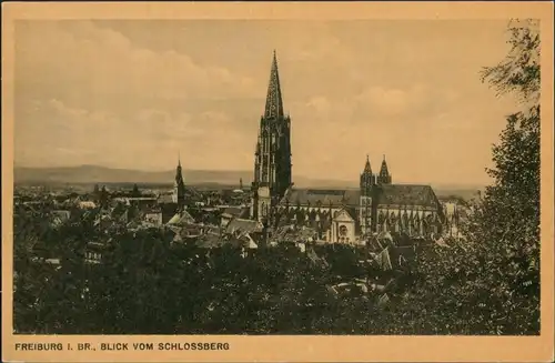 Freiburg im Breisgau  Vogelschau-Perspektive 1920