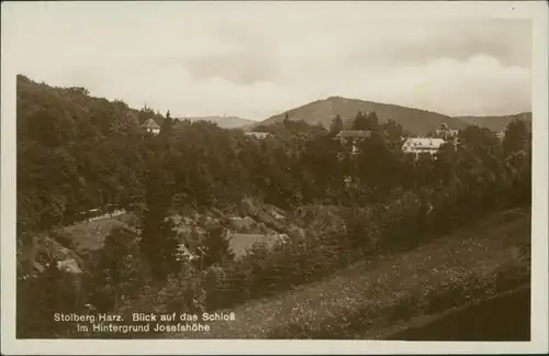 Ansichtskarte Stolberg (Harz) Josefshöhe mit Blick auf das Schloss 1930