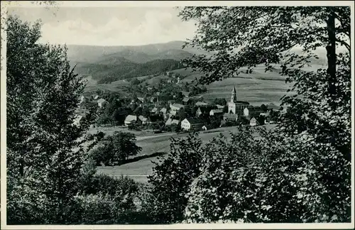 Ansichtskarte Saupsdorf-Sebnitz Blick auf die Stadt 1937