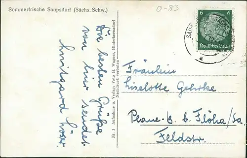 Ansichtskarte Saupsdorf-Sebnitz Blick auf die Stadt 1937