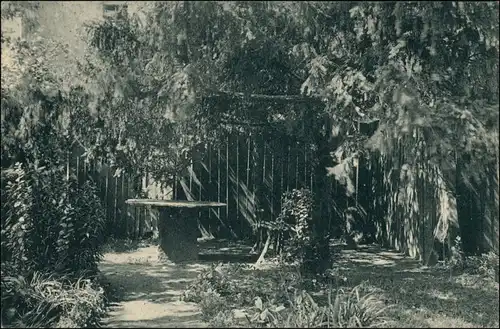 Ansichtskarte Lutherstadt Wittenberg Melanchthons Garten 1911