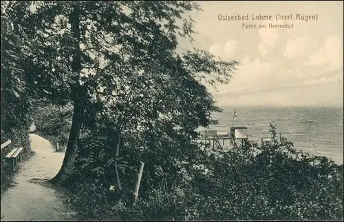 Ansichtskarte Lohme (Rügen) Partie am Herrenbad 1913