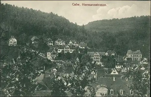 Ansichtskarte Calw Partie an der Hermannstrasse 1918
