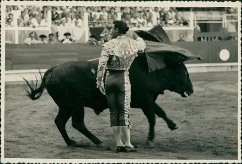 Ansichtskarte  Stierkampf, Torero, Corrida, Stier, Arena 1954