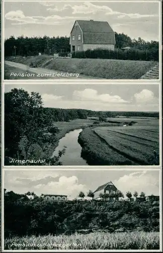 Ansichtskarte Biennenbüttel (Lk Uelzen) 3 Bild Pension Lietzberg 1940