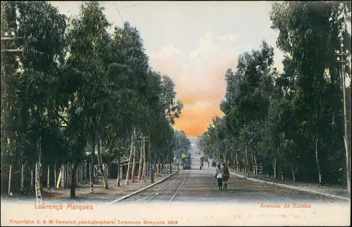 Postcard Maputo (Lourenço Marques) Avenida da Rainha Mozambique 1909