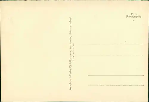Postcard Zuckmantel Zlaté Hory Stadtblick 1930