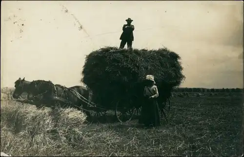 Berufe /Arbeit: Bauern - Landwirtschaft Bauer und Frau Heufuhre 1914 Privatfoto