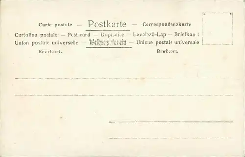 Foto  Jungen vor Pferd mit Hantel Sportler: Turnen 1914 Privatfoto