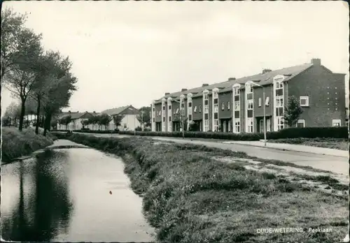 Postkaart Oude Wetering Straßenpartie 1962