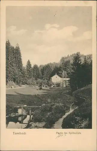 Ansichtskarte Tambach-Dietharz Partie im Spittertale - Häuser 1922