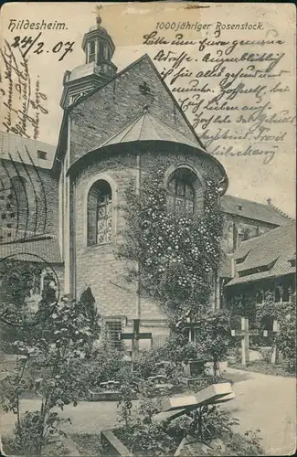 Ansichtskarte Hildesheim Kirche - 1000 Jähriger Rosenstock 1907