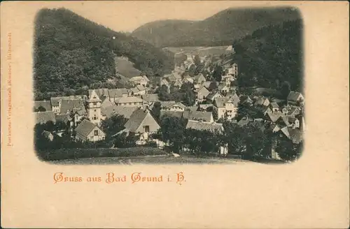 Ansichtskarte Bad Grund (Harz) Stadtpartie 1904