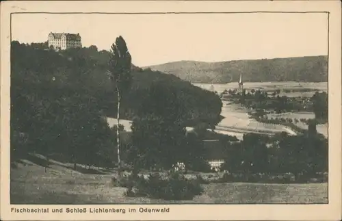 Ansichtskarte Fischbachtal Stadtpartie 1927