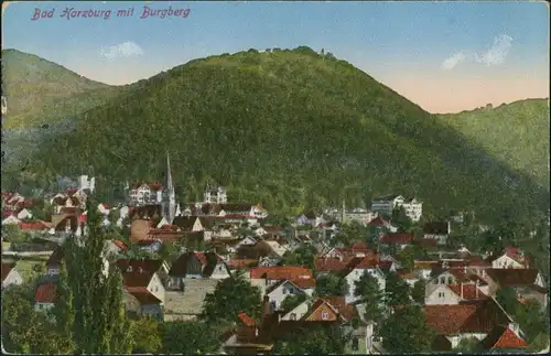 Ansichtskarte Bad Harzburg Gesamtansicht mit Burgberg 1910