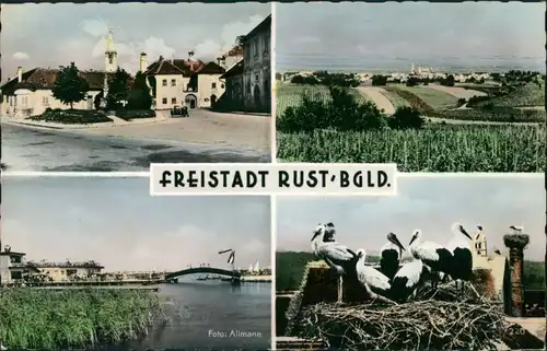 Ansichtskarte Rust Ruszt | Rušta Mehrbild. Straßen, Störche 1962