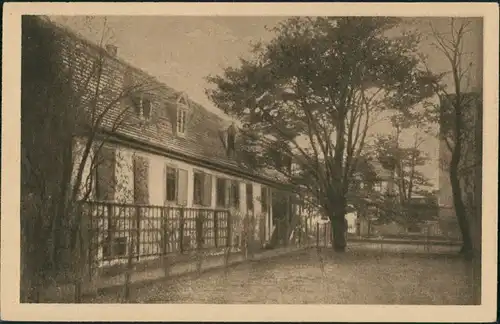 Ansichtskarte Weimar Goethehaus Hausgarten, Garten Ansicht 1920