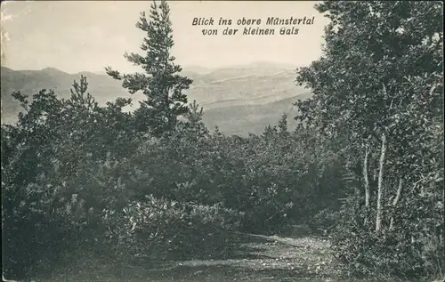 Münstertal/Schwarzwald Panorama-Ansicht Blick ins Münstertal v.d. kleinen Gals 1910