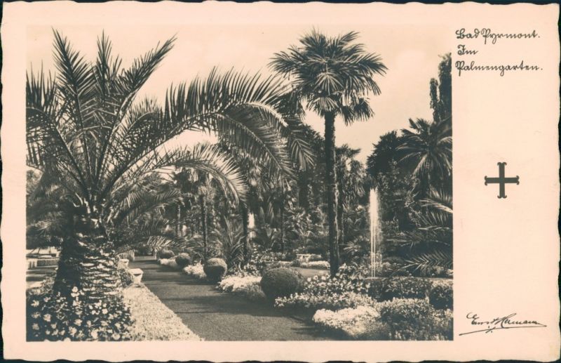 Bad Pyrmont Partie im Palmengarten, Palmen, Garten, Palm Trees 1940 Nr