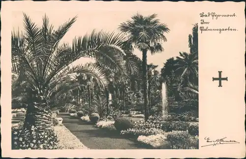 Bad Pyrmont Partie im Palmengarten, Palmen, Garten, Palm Trees 1940