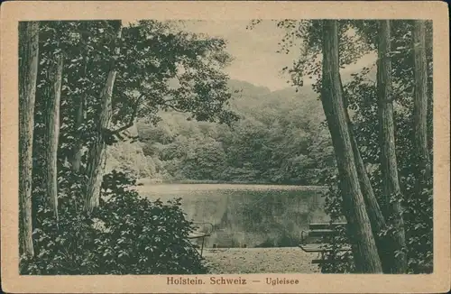 Ansichtskarte Sielbeck-Eutin Ukleisee Ugleisee Waldpartie 1910