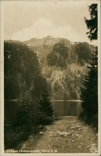 Ansichtskarte Feldberg (Schwarzwald) Wald Partie am See, Berg, Bergkamm 1930