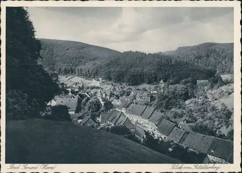 Ansichtskarte Bad Grund (Harz) Stadtpartie 1929