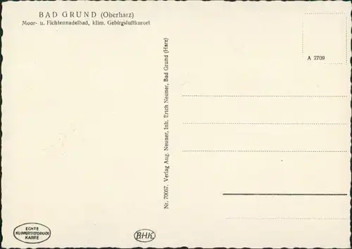 Ansichtskarte Bad Grund (Harz) Stadtpartie 1929