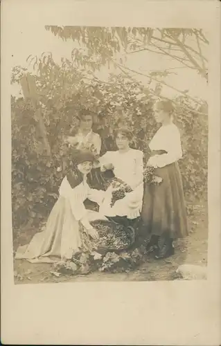 Echtfoto Personen Weinlese, Traubenernte, Weinberge 1910 Privatfoto