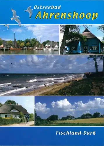 Ansichtskarte Fischland Mehrbild-AK 5 Fotos, Ostsee, Ostseebad 2005
