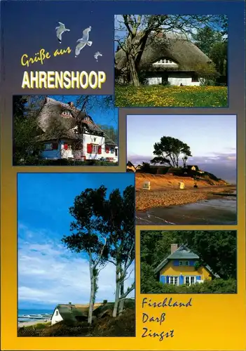 Ansichtskarte Fischland Mehrbildkarte, Umland-Ansichten Strand 2005