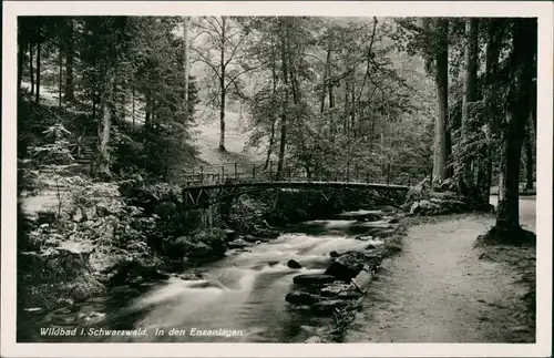 Ansichtskarte Bad Wildbad Enz Brücke Partie in den Enzanlagen, Park 1940